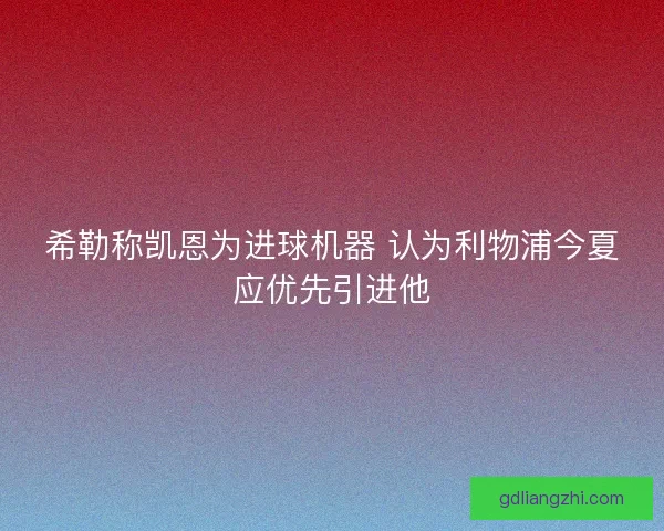 希勒称凯恩为进球机器 认为利物浦今夏应优先引进他