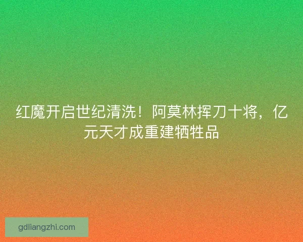 红魔开启世纪清洗！阿莫林挥刀十将，亿元天才成重建牺牲品