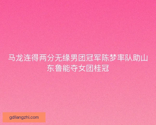马龙连得两分无缘男团冠军陈梦率队助山东鲁能夺女团桂冠 马龙连得两分无缘男团冠军陈梦率队助山东鲁能夺女团桂冠