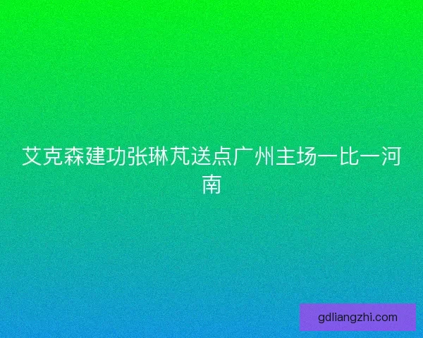 艾克森建功张琳芃送点广州主场一比一河南