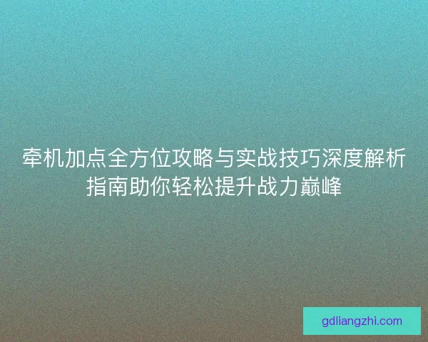 牵机加点全方位攻略与实战技巧深度解析指南助你轻松提升战力巅峰 牵机加点全方位攻略与实战技巧深度解析指南助你轻松提升战力巅峰